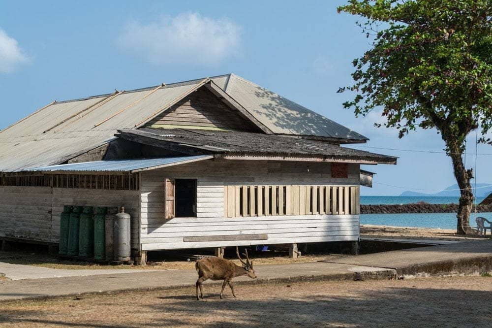 maison ile cerfs koh kradat