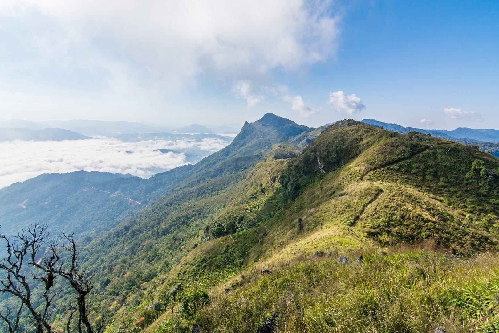 doi pha tang nord thailande