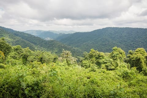 khao yai en octobre