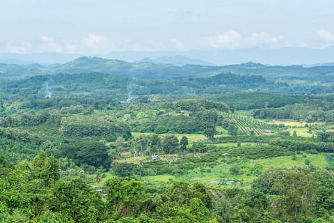 paysage nord lampang en novembre