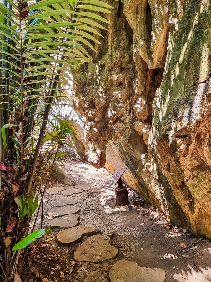 chemin long parois hup pa tat - uthai thani