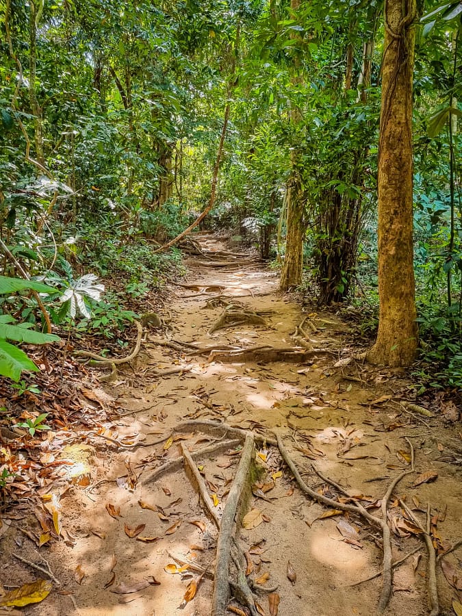 chemin menant had lek sur ko miang aux similan