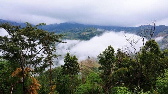 paysage décembre nord thailande