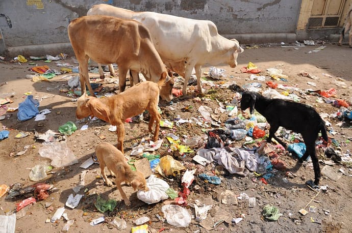 varanasi - inde