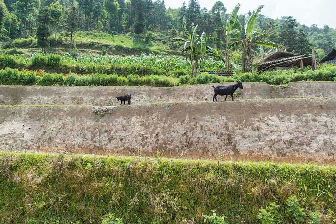 nord Vietnam - route près de la frontiere chinoise