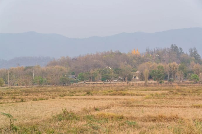 brume et paysage sec en avril - thailande