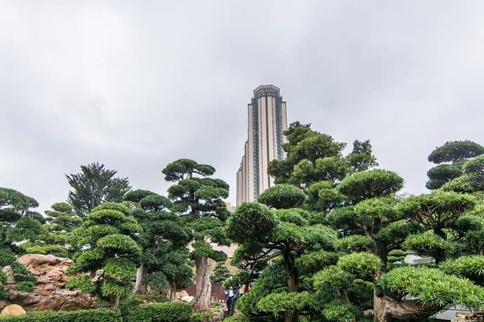 dans les jardins nan lian - hong kong