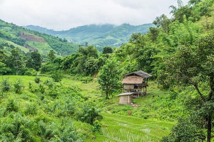 journee elephant steps chiang rai