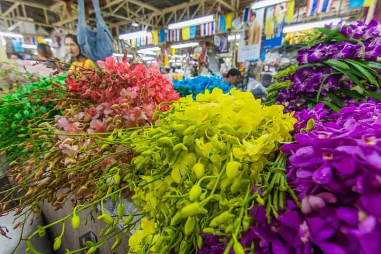 orchidees marche aux fleurs de bangkok