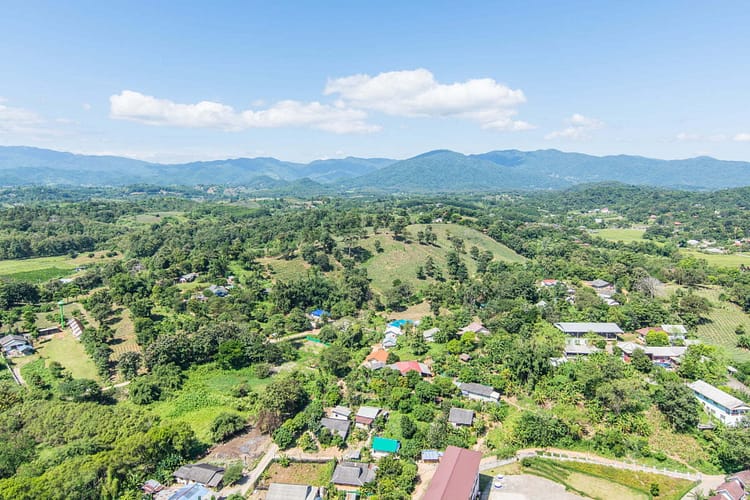 paysage autour wat huay pla kang chiang rai