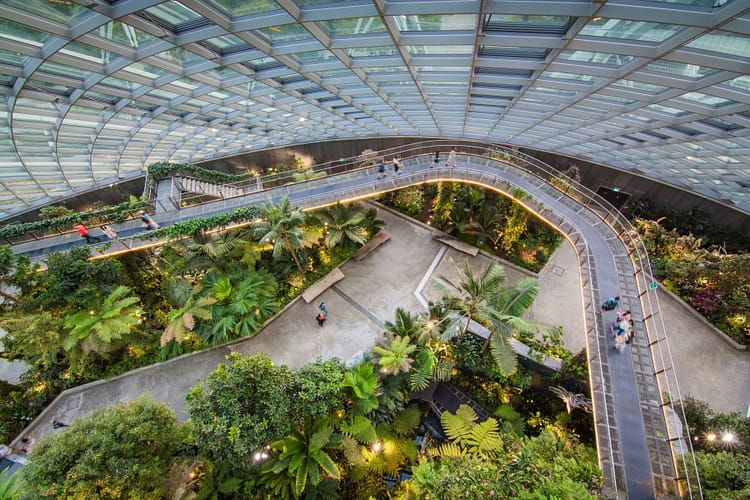 au cloud forest dome singapour