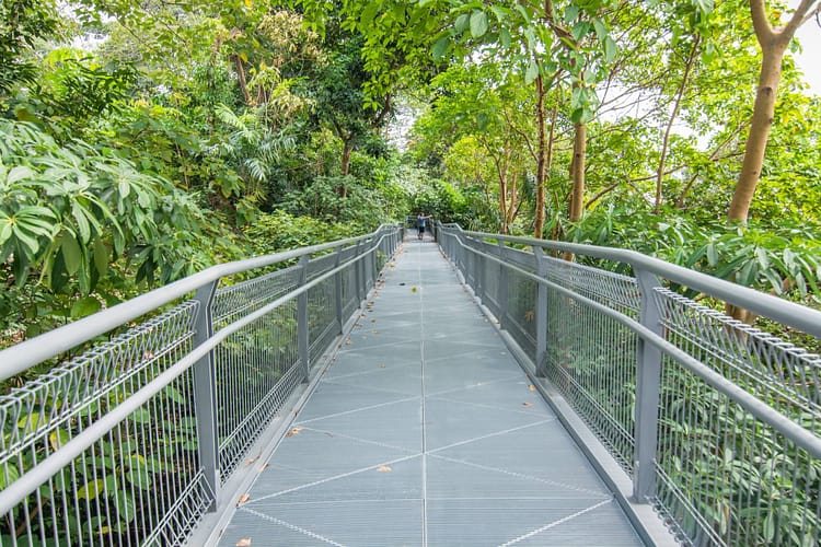 canopy walk southern ridges - singapour