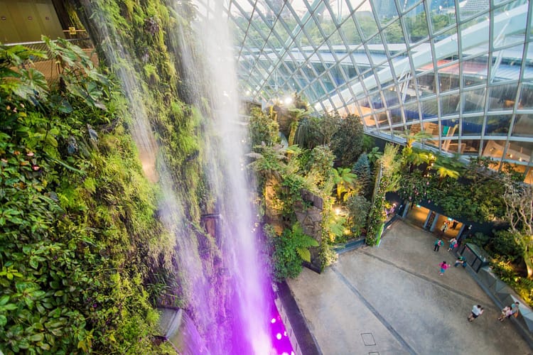 cascade cloud forest dome singapour