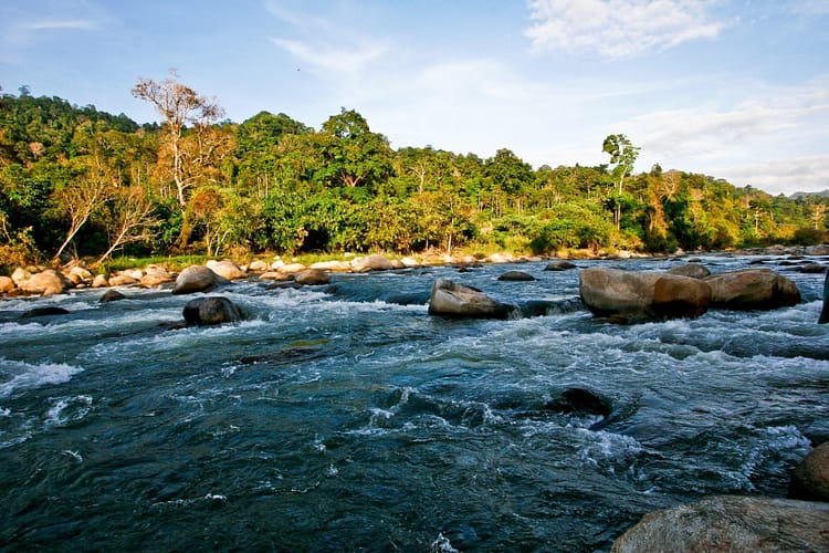 Rivière passant au Royal Belum State Park