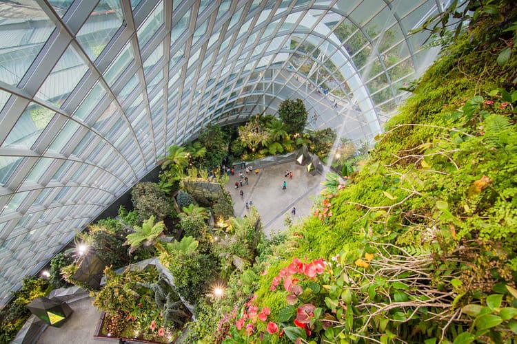 vue plongee cloud forest dome singapour