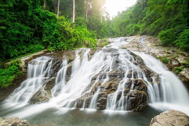 Khao Soi Dao Wildlife Sanctuary chanthaburi