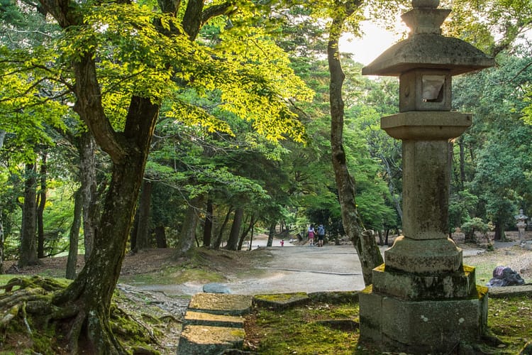 lanterne pierre todai-ji nara - japon