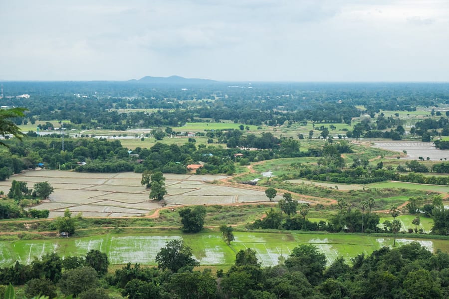 vue campagne derrire Wat Sangkat Rattana Khiri - Uthai Thani