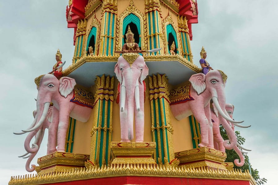 elephants roses wat tham suea kanchanaburi