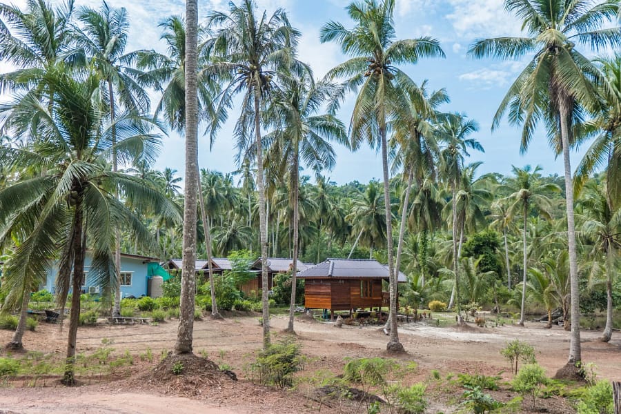 bungalows au milieu des bois ko kood