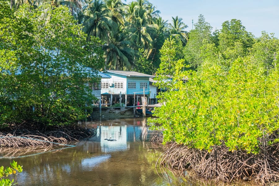 Lungkluayhomestay ngamkho ko kood