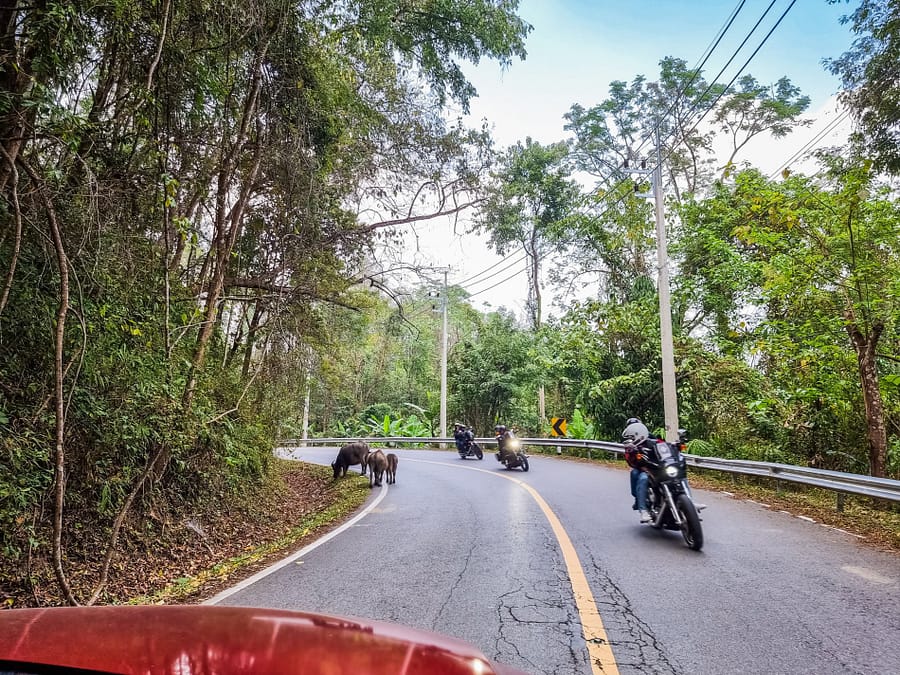 route chiang mai vers pai thailande