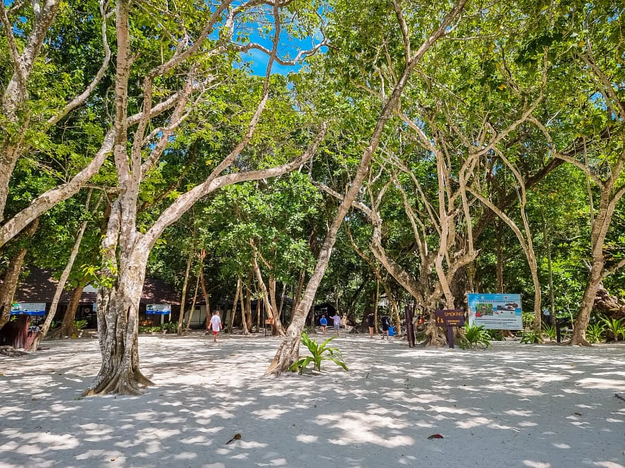 partie ombragée bord de plage ko similan thailande