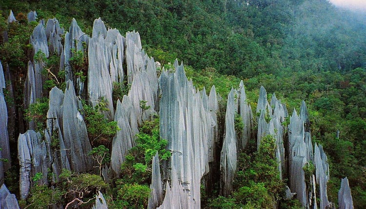 pinacles au mont mulu sarawak - malaisie