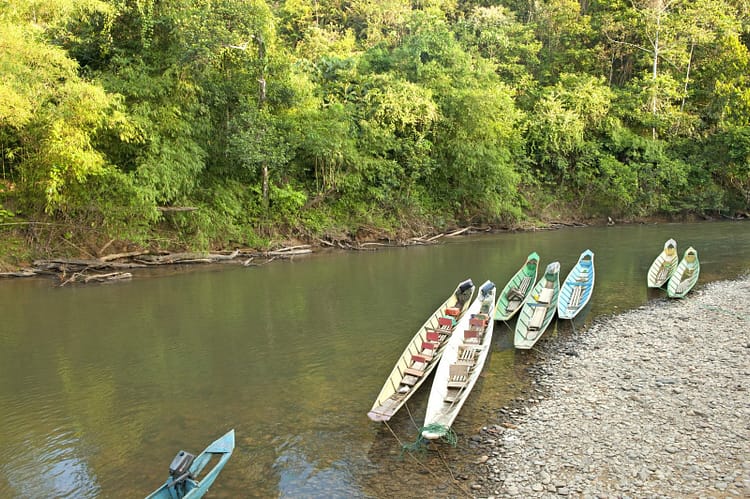 batang-ai-national-park-sarawak-malaisie