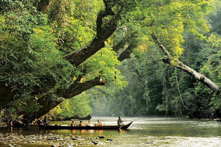  lata-berkoh-taman-negara-malaisie