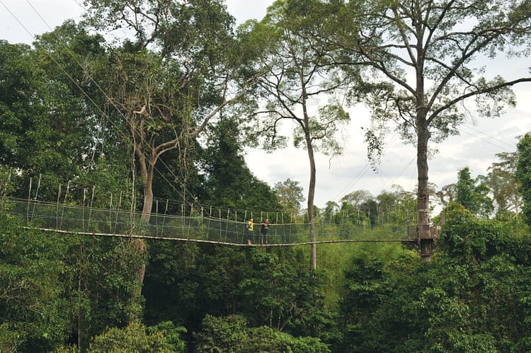 taman-negara-kuala-koh-malaisie