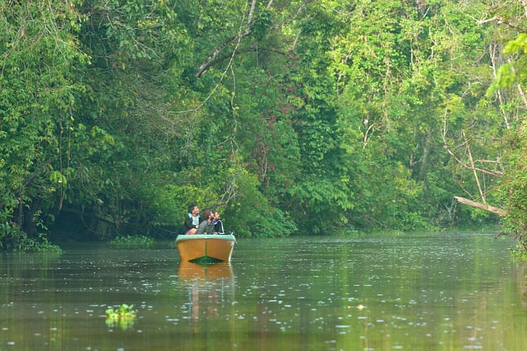 tour-riviere-kinabatangan-sukau-sabah-malaisie