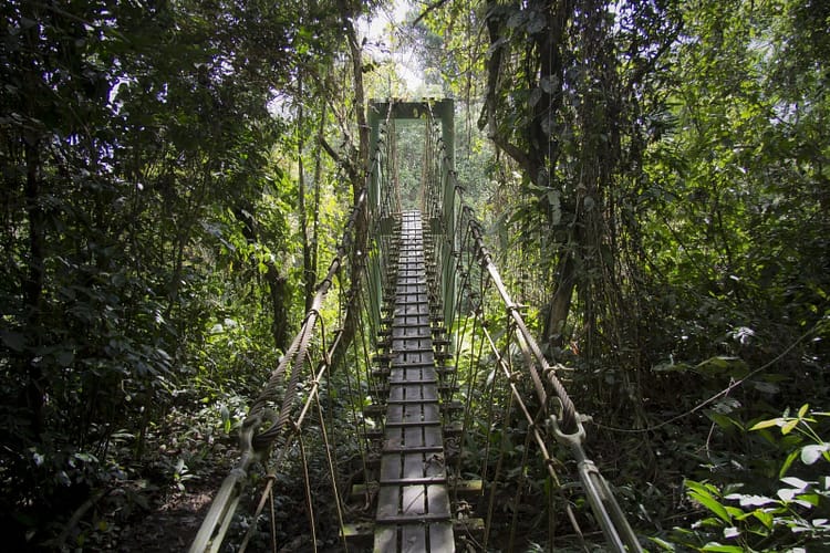 gunung mulu national park sarawak borneo