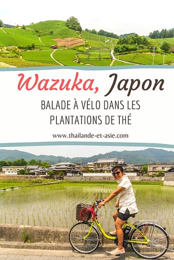 pinterest balade velo plantations the wazuka japon
